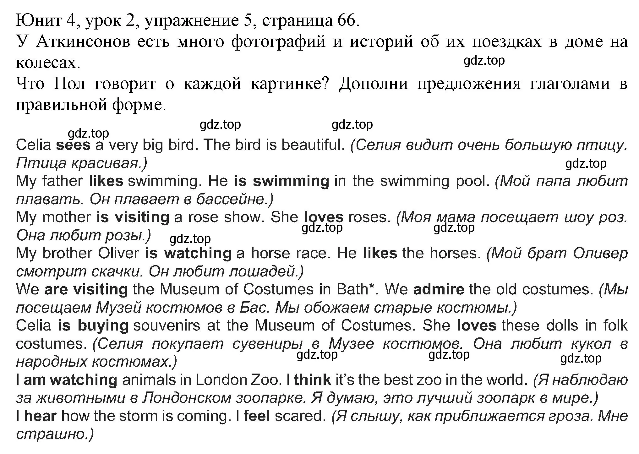 Решение номер 5 (страница 66) гдз по английскому языку 5 класс Кузовлев, Лапа, учебник