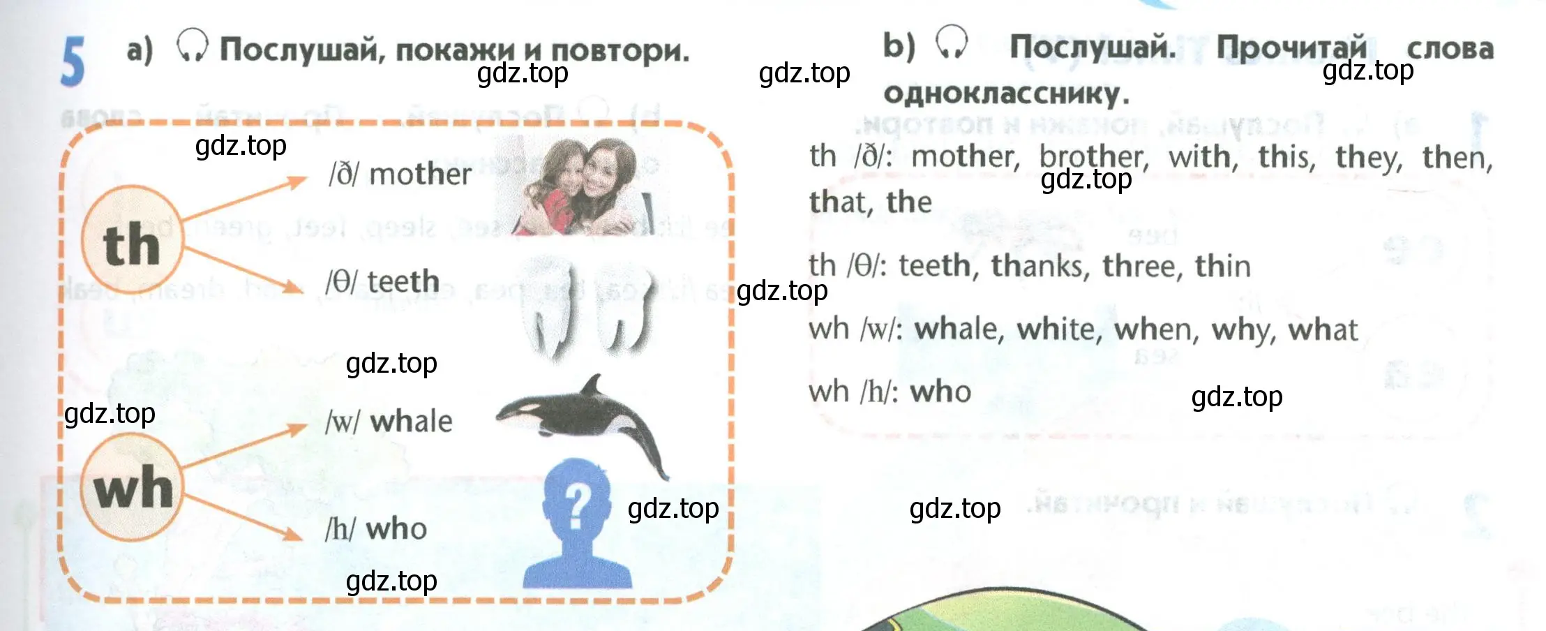 Условие номер 5 (страница 21) гдз по английскому языку 5 класс Маневич, Полякова, учебник