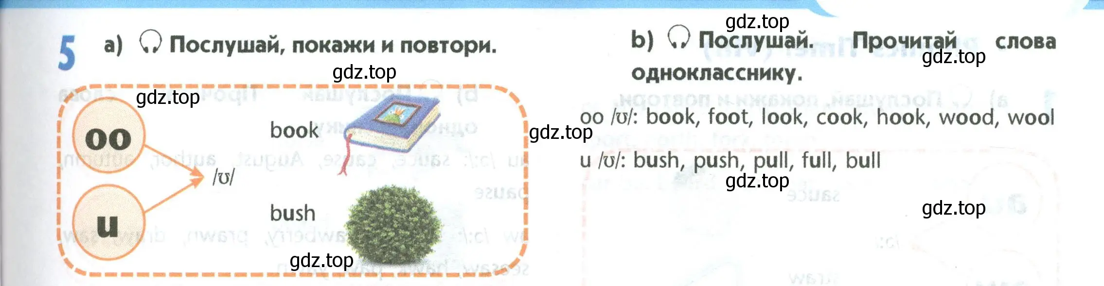 Условие номер 5 (страница 27) гдз по английскому языку 5 класс Маневич, Полякова, учебник