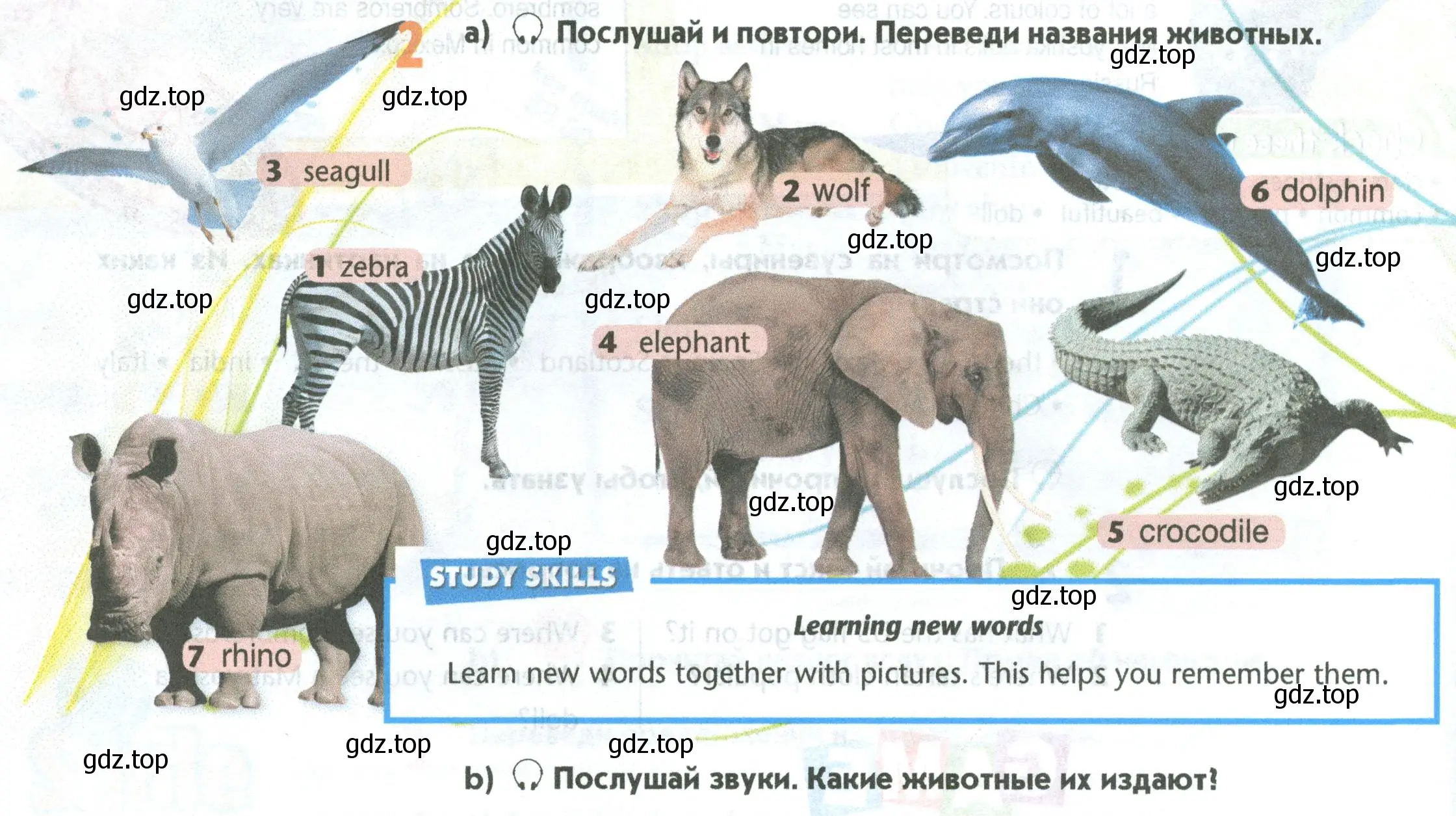 Условие номер 2 (страница 68) гдз по английскому языку 5 класс Маневич, Полякова, учебник