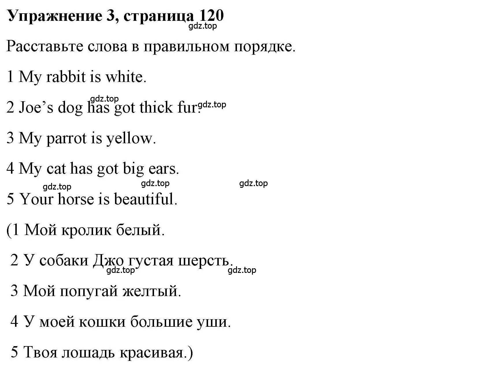 Решение номер 3 (страница 120) гдз по английскому языку 5 класс Маневич, Полякова, учебник