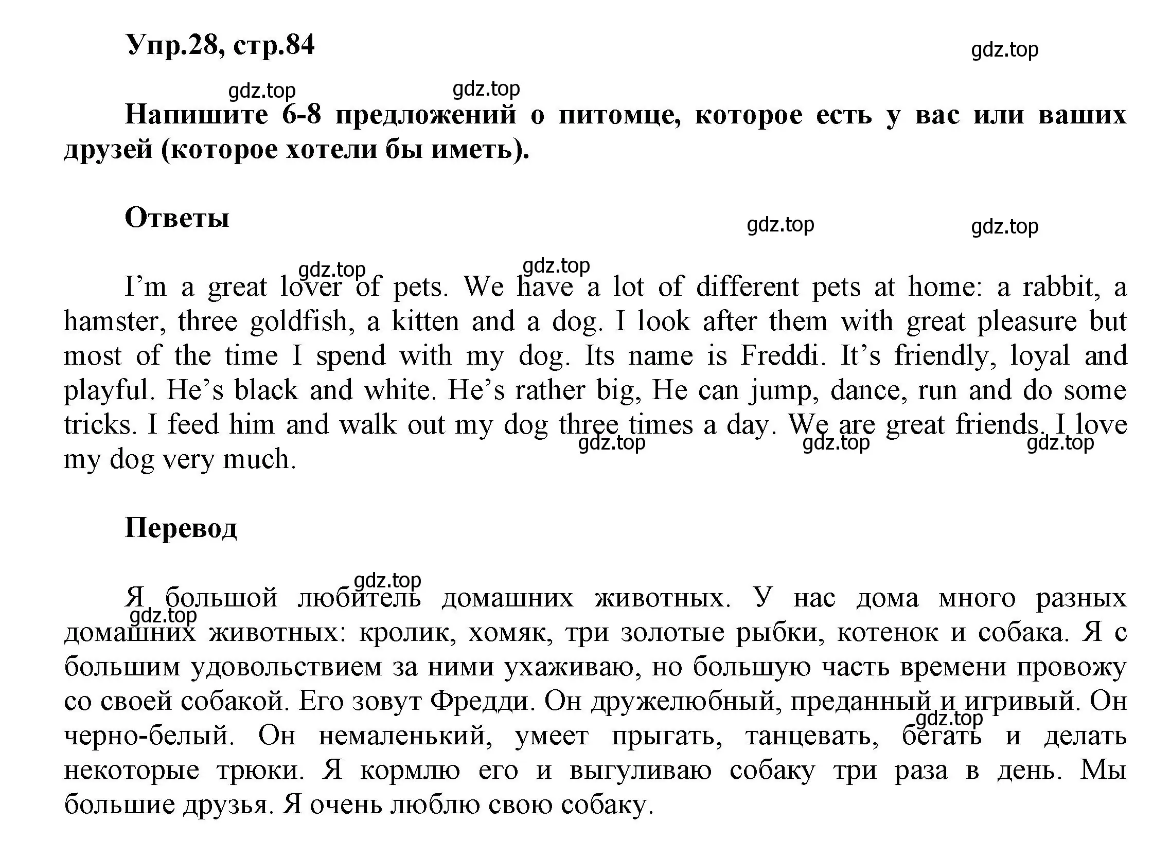 Решение номер 28 (страница 84) гдз по английскому языку 5 класс Афанасьева, Михеева, рабочая тетрадь