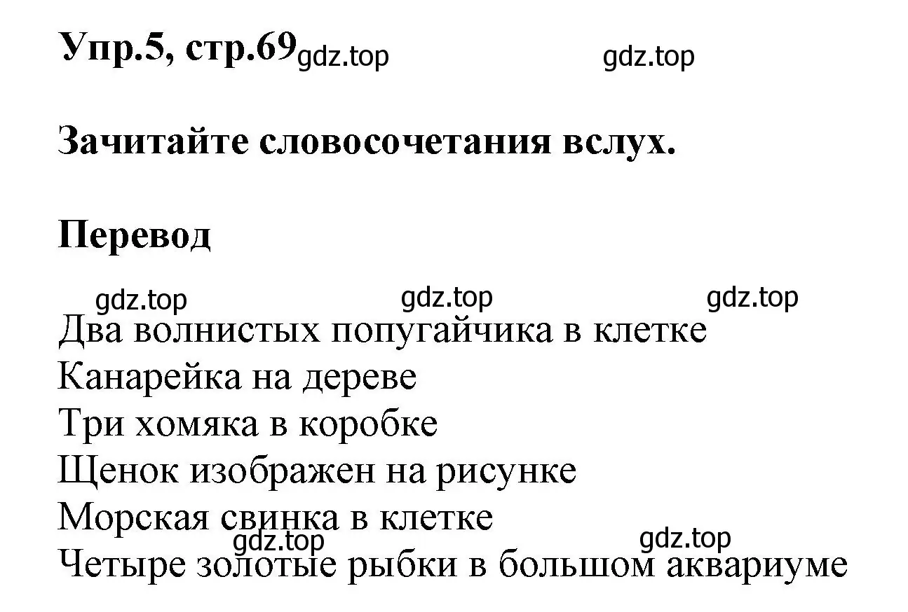 Решение номер 5 (страница 69) гдз по английскому языку 5 класс Афанасьева, Михеева, рабочая тетрадь