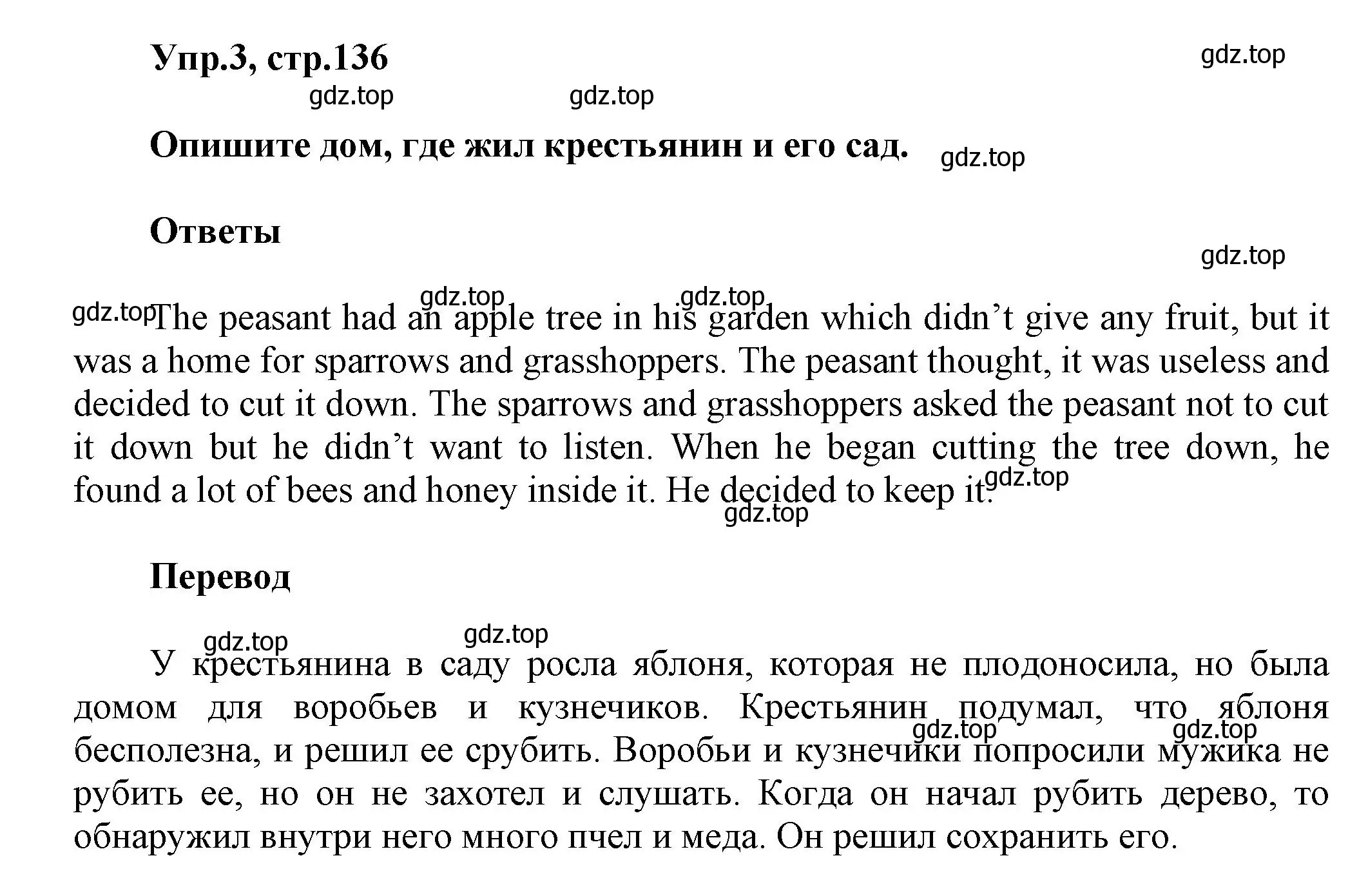 Решение номер 3 (страница 136) гдз по английскому языку 5 класс Афанасьева, Михеева, учебник 1 часть