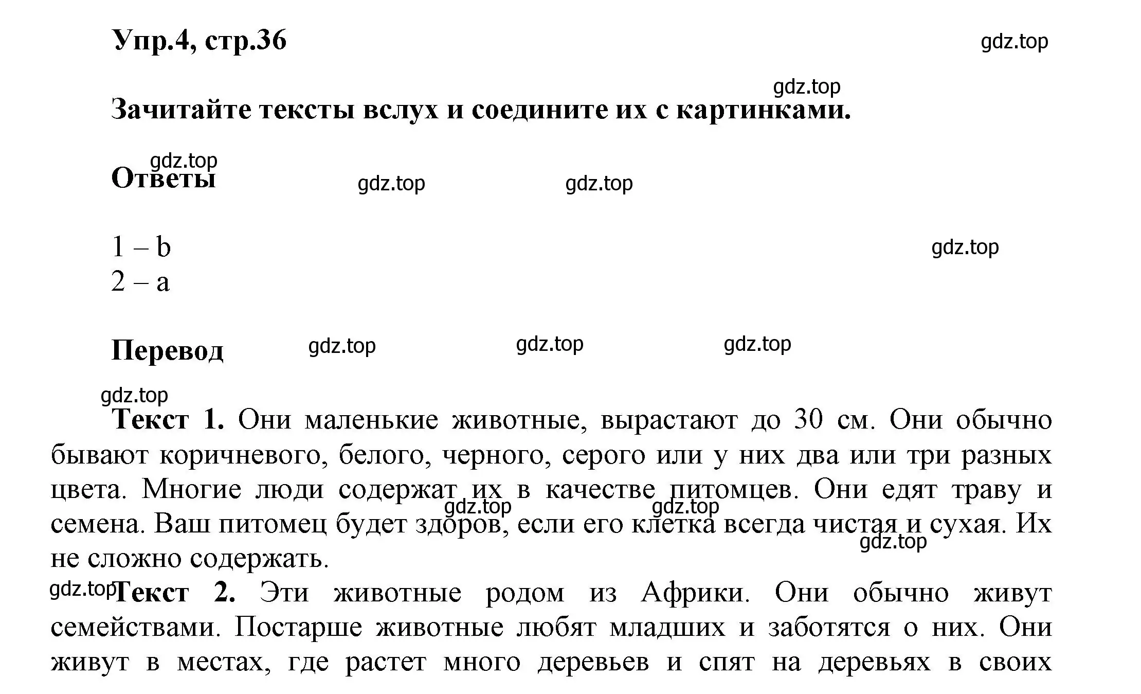 Решение номер 4 (страница 36) гдз по английскому языку 5 класс Афанасьева, Михеева, учебник 2 часть