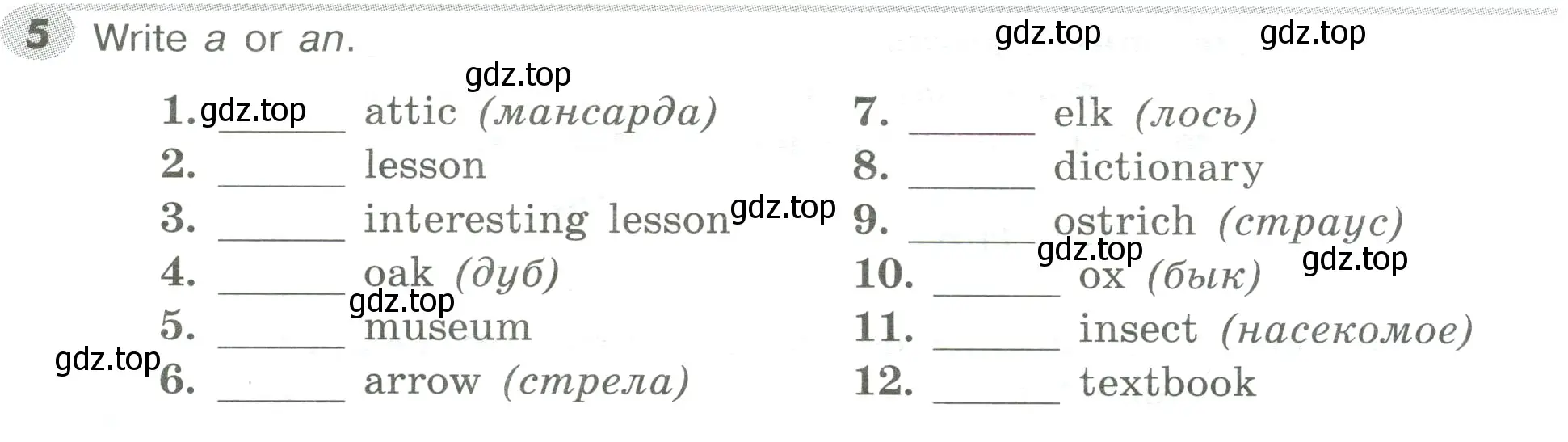 Условие номер 5 (страница 12) гдз по английскому языку 5 класс Тимофеева, грамматический тренажёр