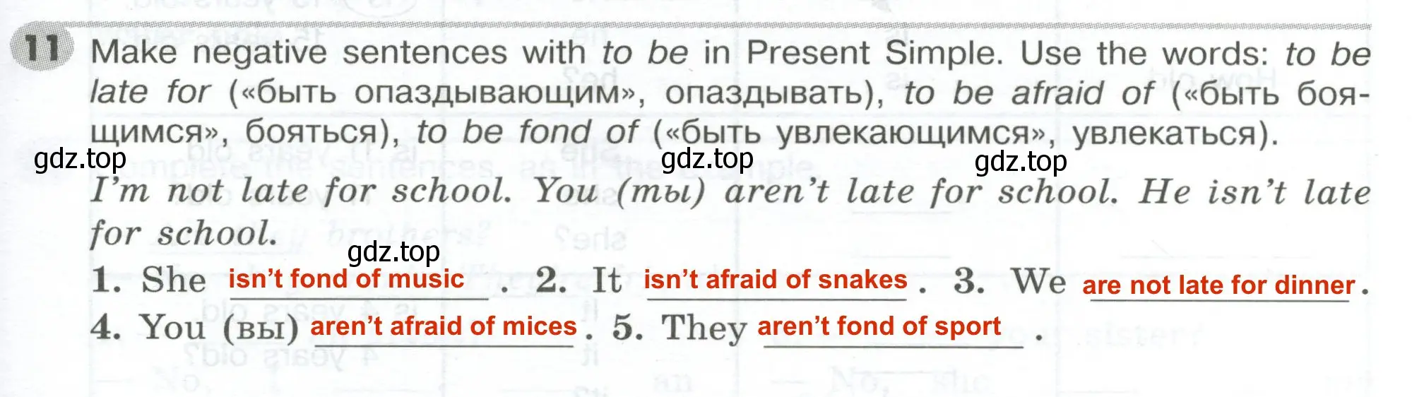 Решение 2. номер 11 (страница 17) гдз по английскому языку 5 класс Тимофеева, грамматический тренажёр