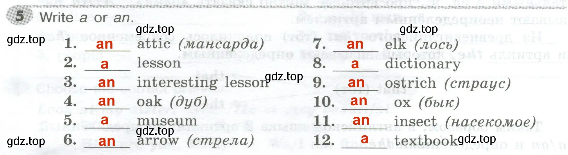 Решение 2. номер 5 (страница 12) гдз по английскому языку 5 класс Тимофеева, грамматический тренажёр