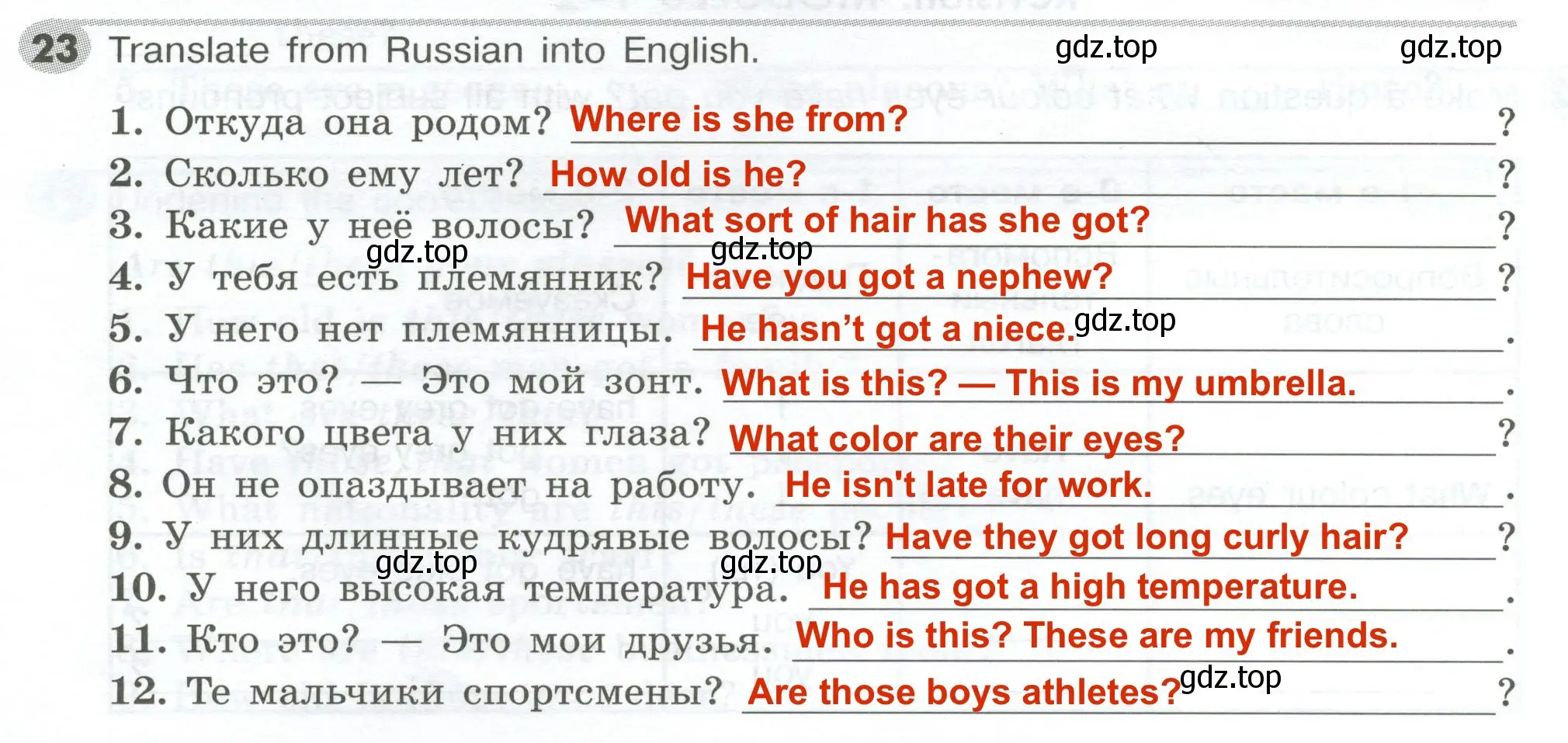 Решение 2. номер 23 (страница 36) гдз по английскому языку 5 класс Тимофеева, грамматический тренажёр