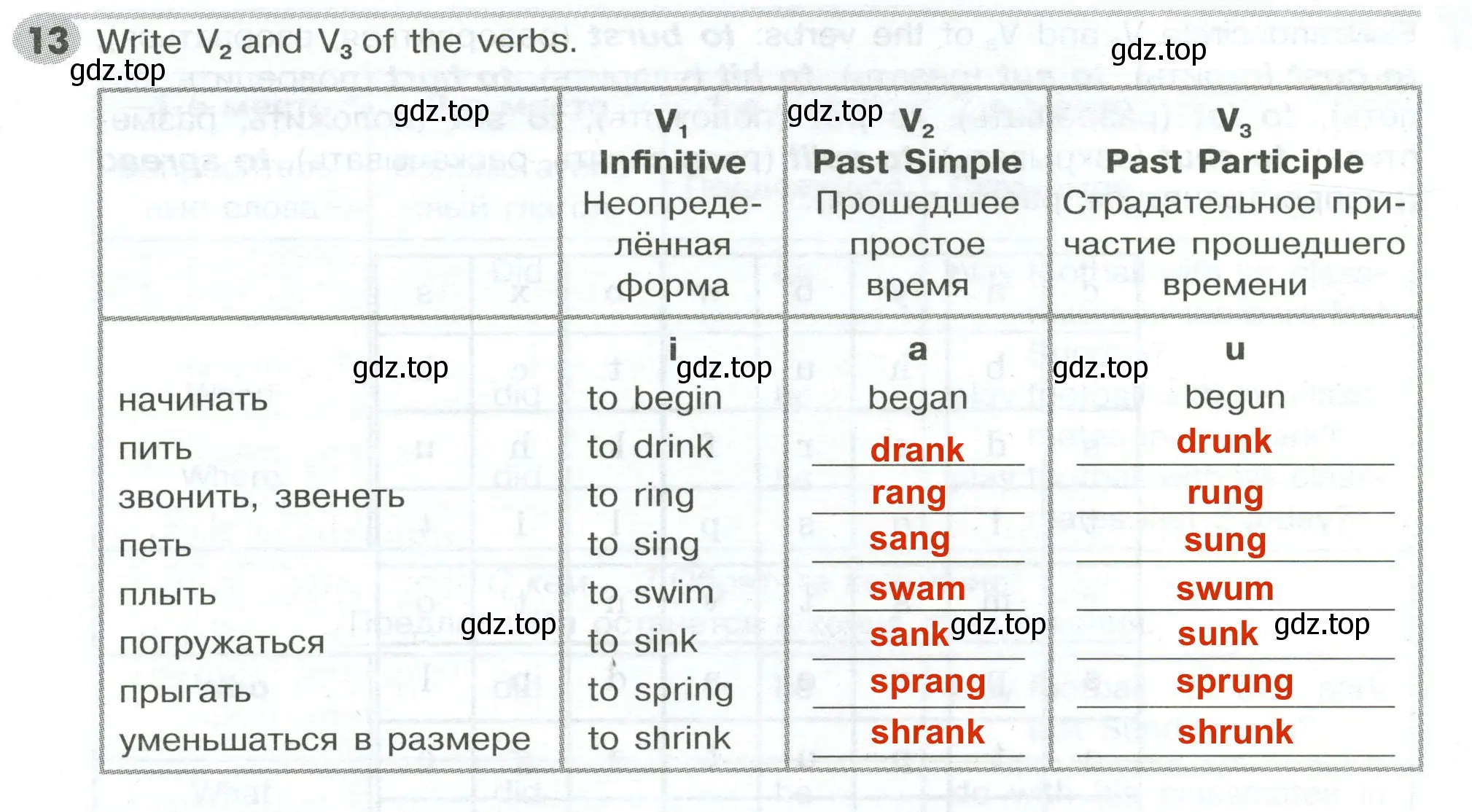 Решение 2. номер 13 (страница 110) гдз по английскому языку 5 класс Тимофеева, грамматический тренажёр