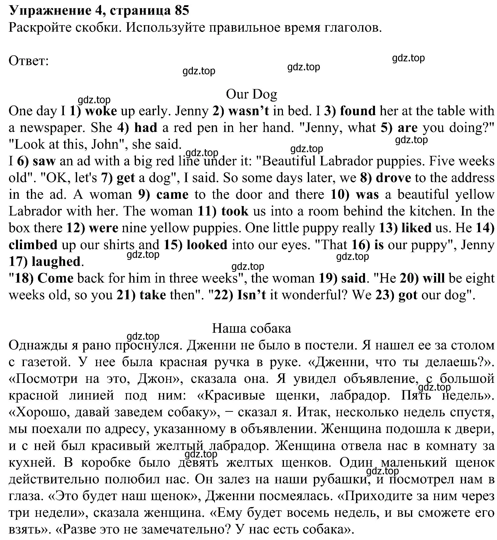 Решение номер 4 (страница 85) гдз по английскому языку 5 класс Ваулина, Дули, рабочая тетрадь