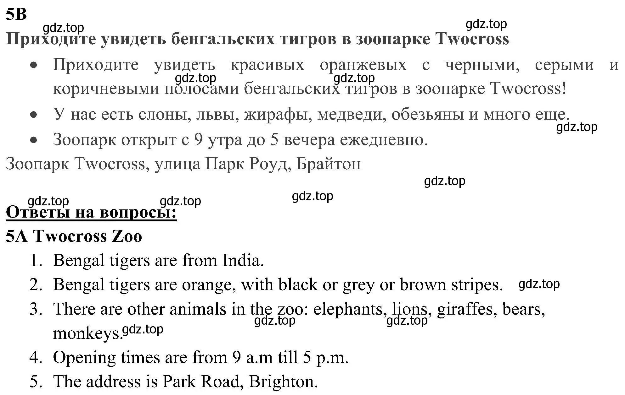 Решение 3. номер 5 (страница 72) гдз по английскому языку 5 класс Ваулина, Дули, рабочая тетрадь