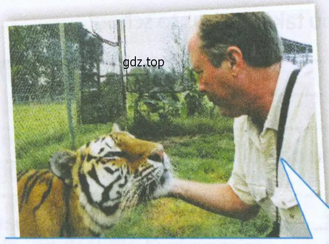 Рисунок. Eric and Bengali Tiger