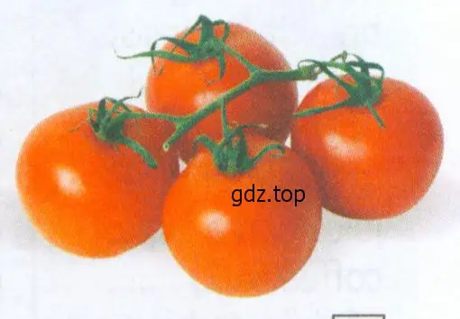 Рисунок. 6 tomatoes