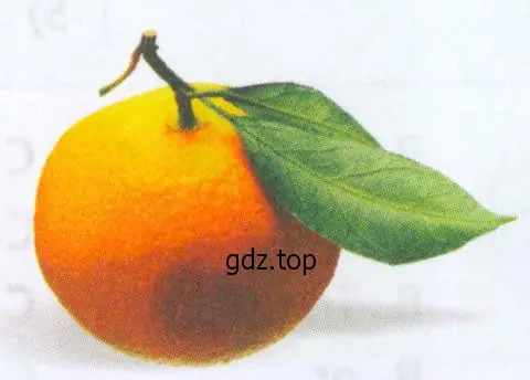 Рисунок. 7 orange