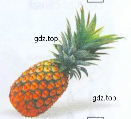 Рисунок. 8 pineapple