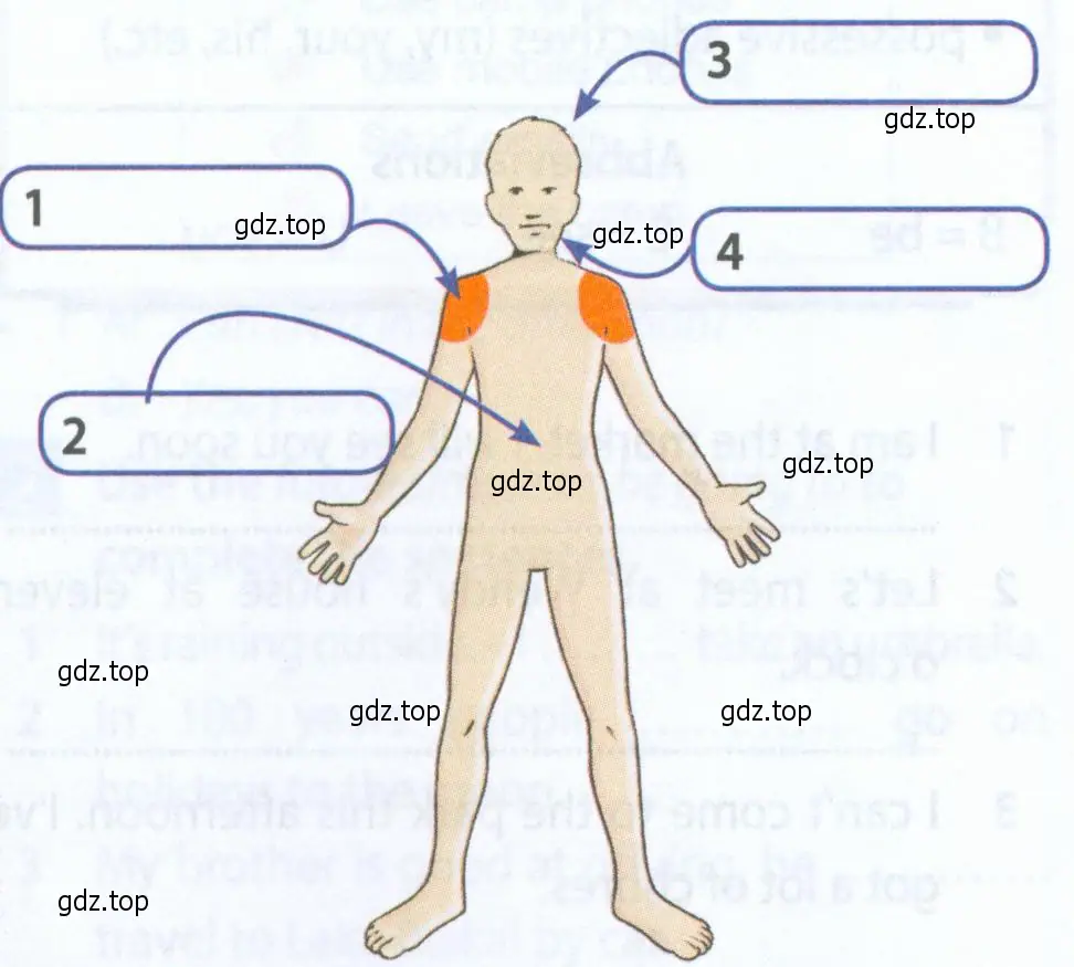 Рисунок. label the diagram