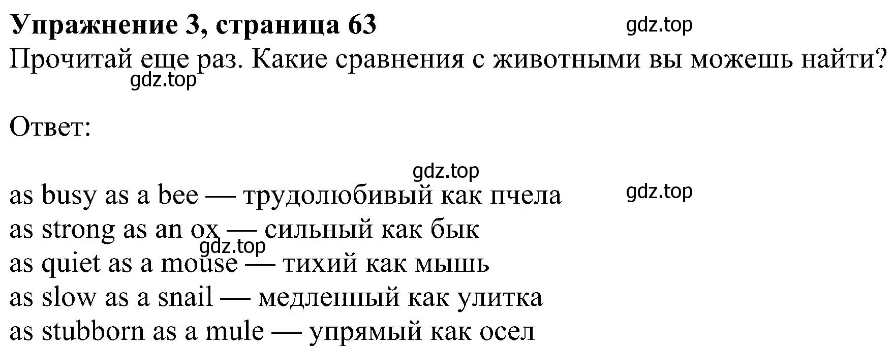 Решение номер 3 (страница 63) гдз по английскому языку 5 класс Ваулина, Дули, учебник