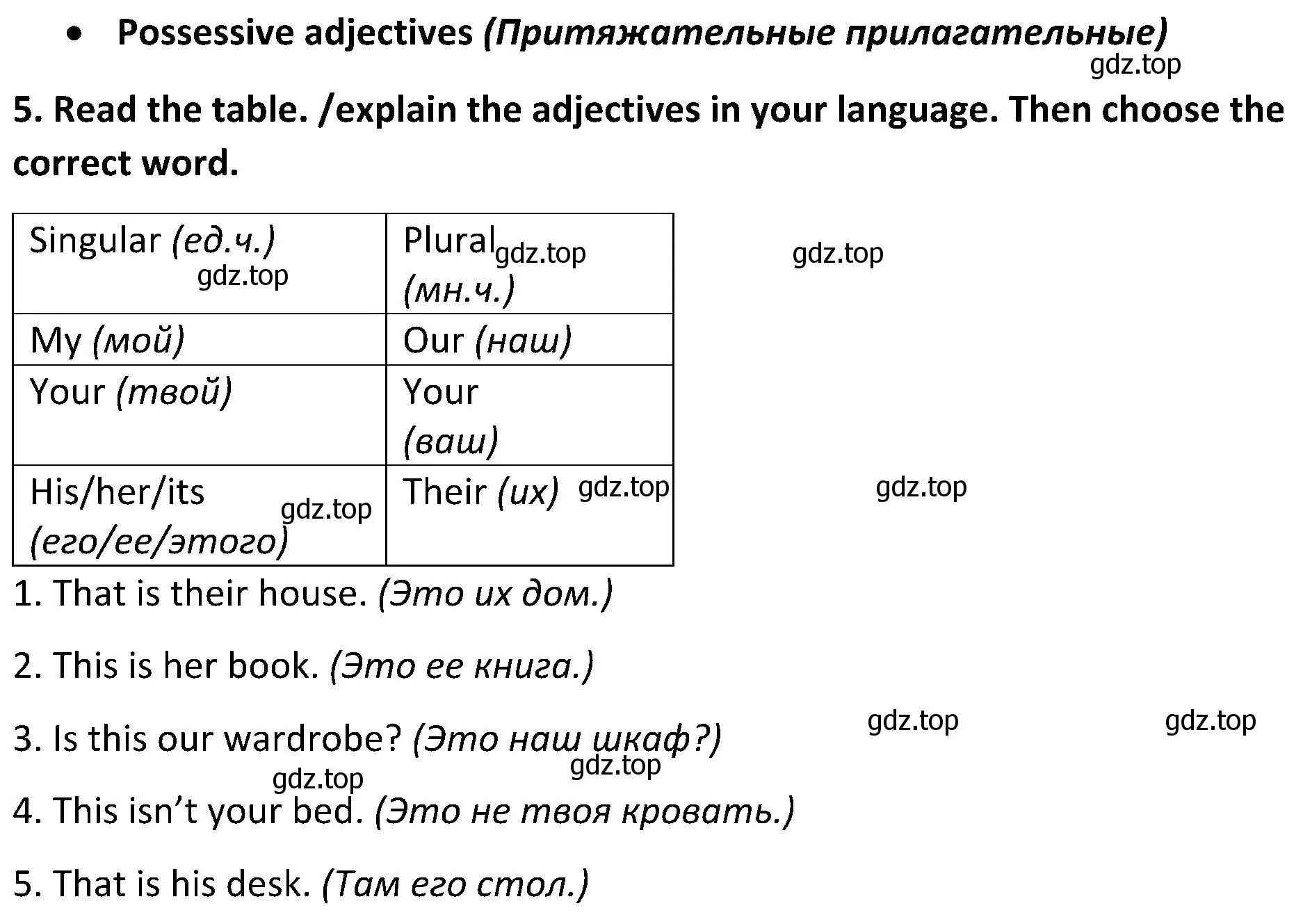 Решение 2. номер 5 (страница 49) гдз по английскому языку 5 класс Ваулина, Дули, учебник