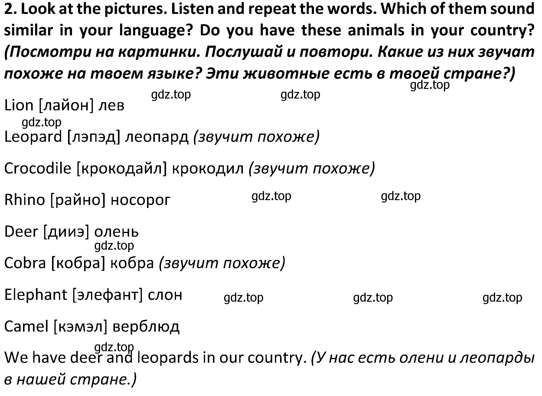 Решение 2. номер 2 (страница 66) гдз по английскому языку 5 класс Ваулина, Дули, учебник