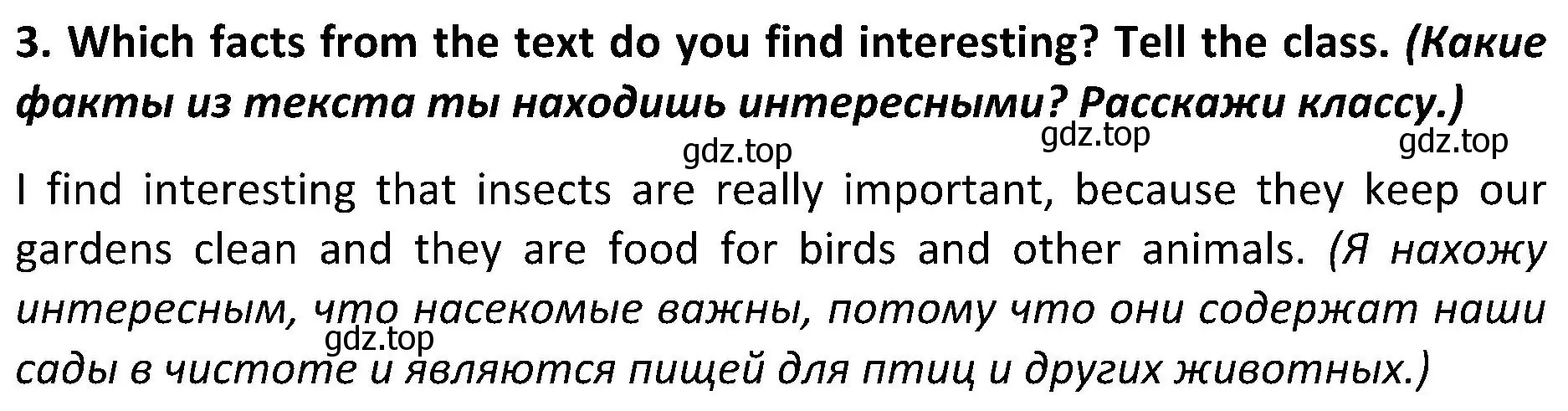 Решение 2. номер 3 (страница 73) гдз по английскому языку 5 класс Ваулина, Дули, учебник