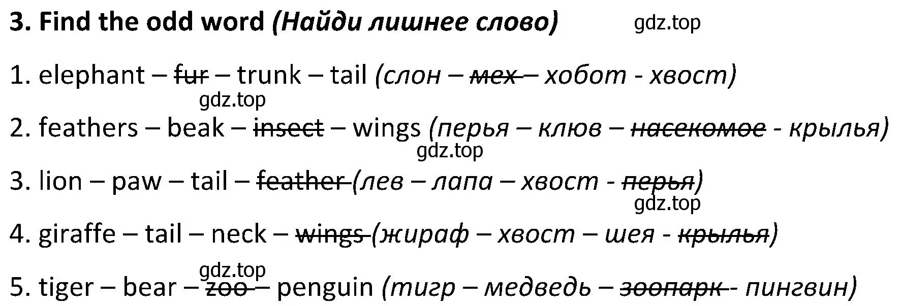 Решение 2. номер 3 (страница 74) гдз по английскому языку 5 класс Ваулина, Дули, учебник