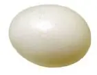 Рисунок. Egg
