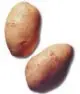 Рисунок. potatoes