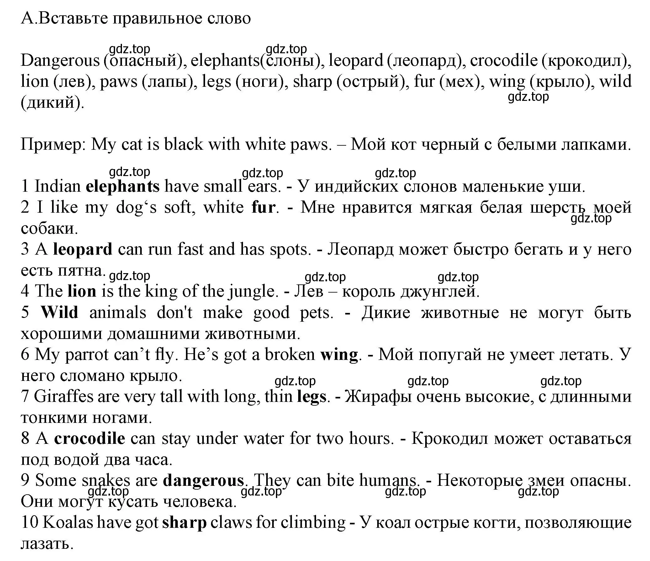 Решение номер A (страница 37) гдз по английскому языку 5 класс Ваулина, Дули, контрольные задания