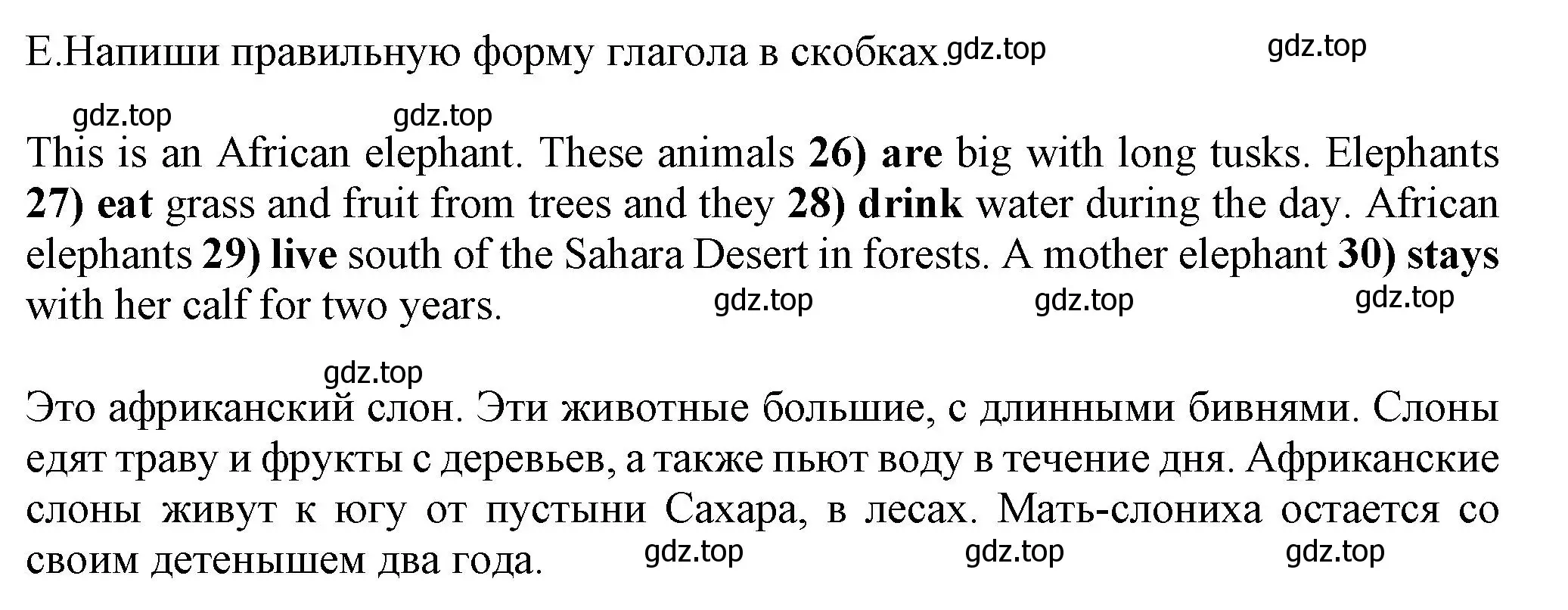 Решение номер E (страница 38) гдз по английскому языку 5 класс Ваулина, Дули, контрольные задания