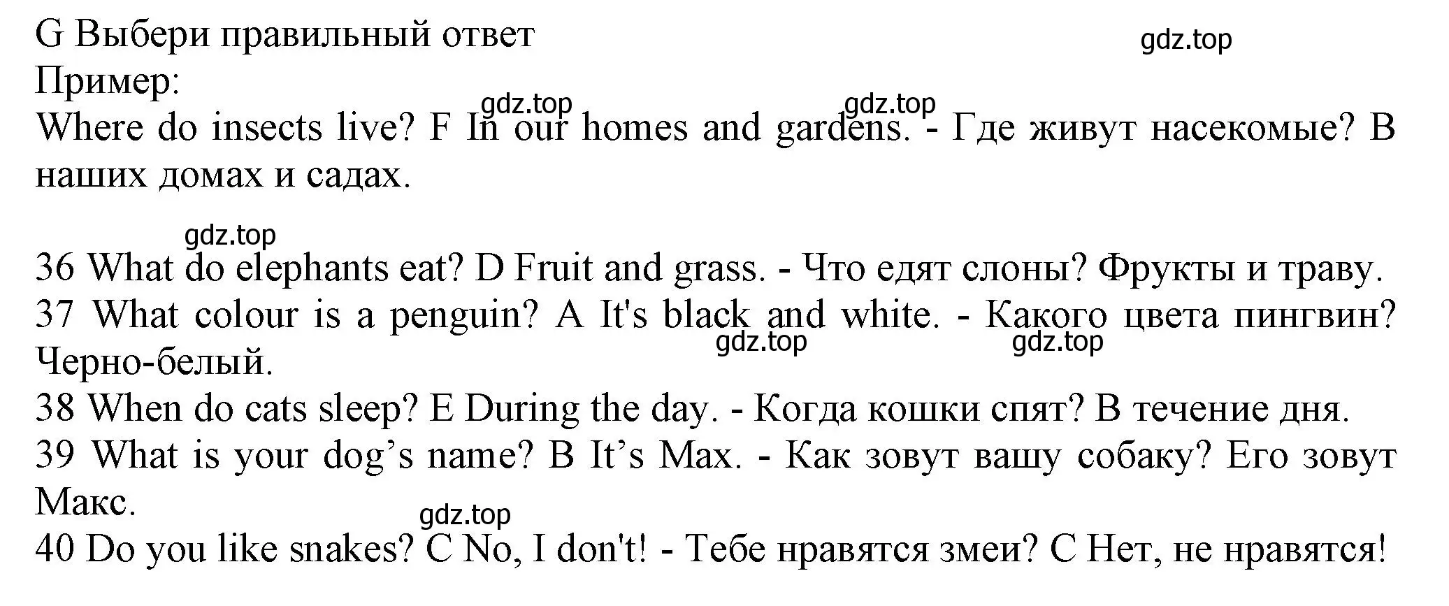 Решение номер G (страница 38) гдз по английскому языку 5 класс Ваулина, Дули, контрольные задания