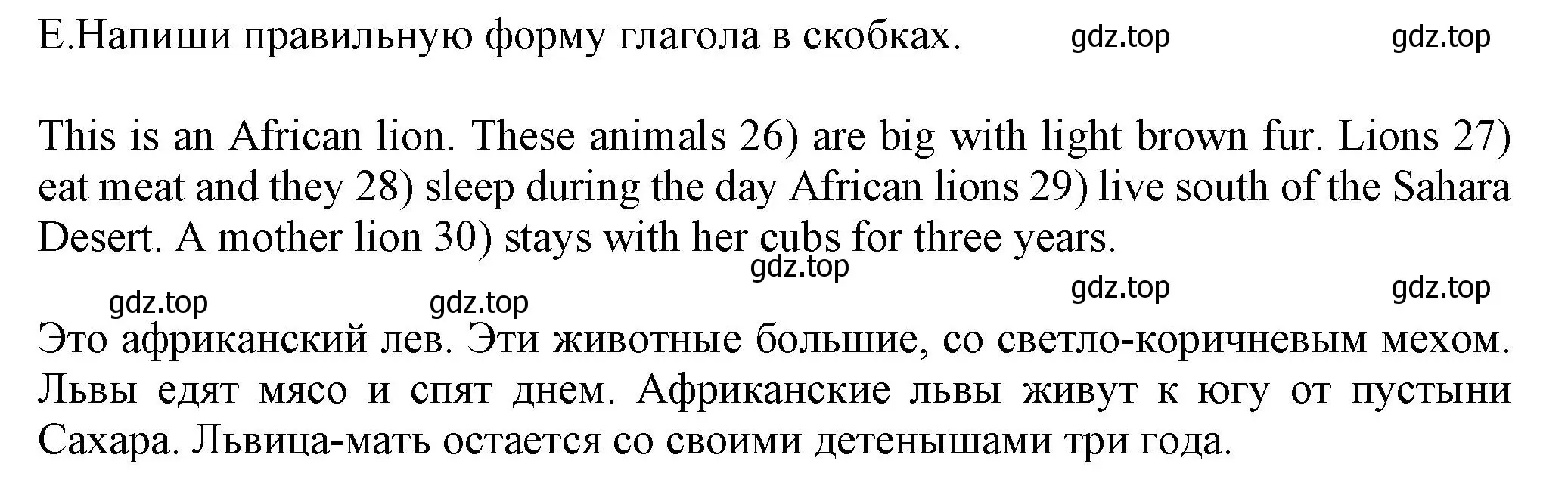 Решение номер E (страница 42) гдз по английскому языку 5 класс Ваулина, Дули, контрольные задания