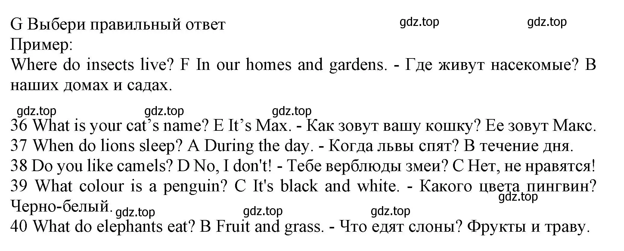 Решение номер G (страница 42) гдз по английскому языку 5 класс Ваулина, Дули, контрольные задания