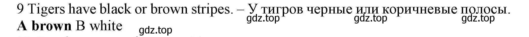 Решение номер 9 (страница 105) гдз по английскому языку 5 класс Ваулина, Дули, контрольные задания