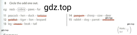 Решение 2. номер B (страница 41) гдз по английскому языку 5 класс Ваулина, Дули, контрольные задания