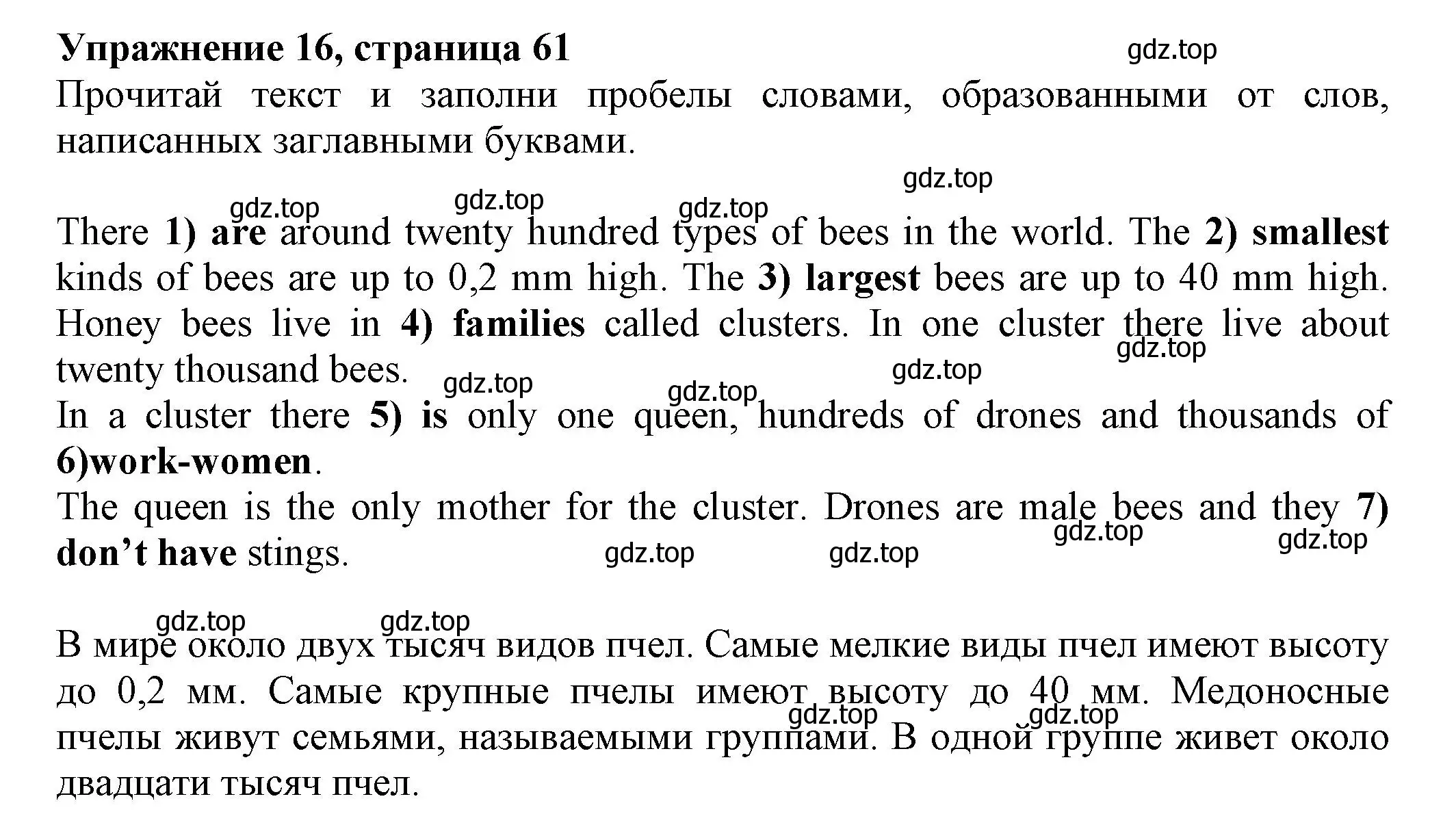 Решение номер 16 (страница 61) гдз по английскому языку 5 класс Ваулина, Подоляко, тренировочные упражнения в формате ГИА