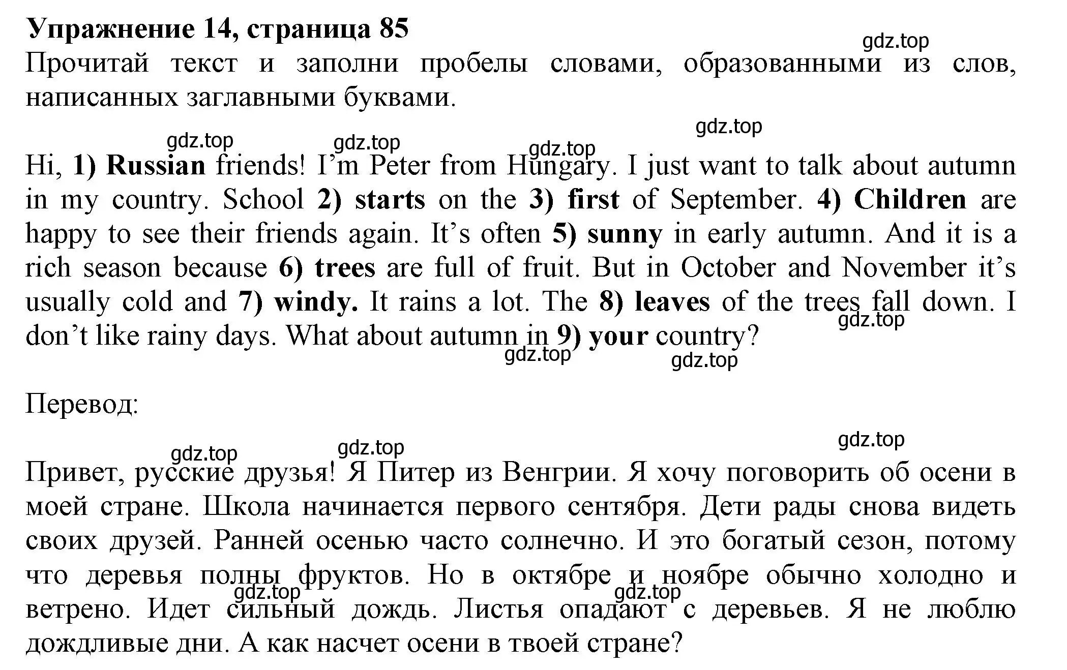 Решение номер 14 (страница 85) гдз по английскому языку 5 класс Ваулина, Подоляко, тренировочные упражнения в формате ГИА