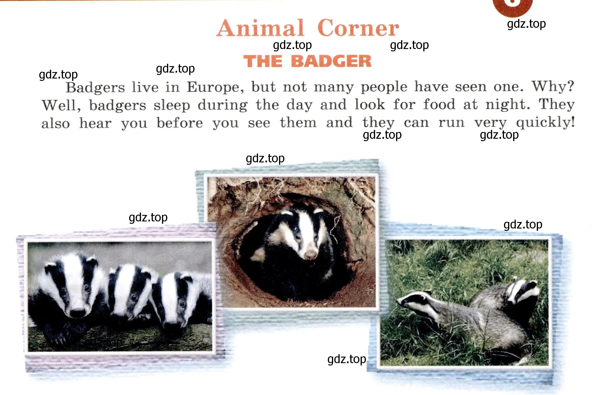 Условие  Animal Corner (страница 60) гдз по английскому языку 5 класс Верещагина, Афанасьева, книга для чтения