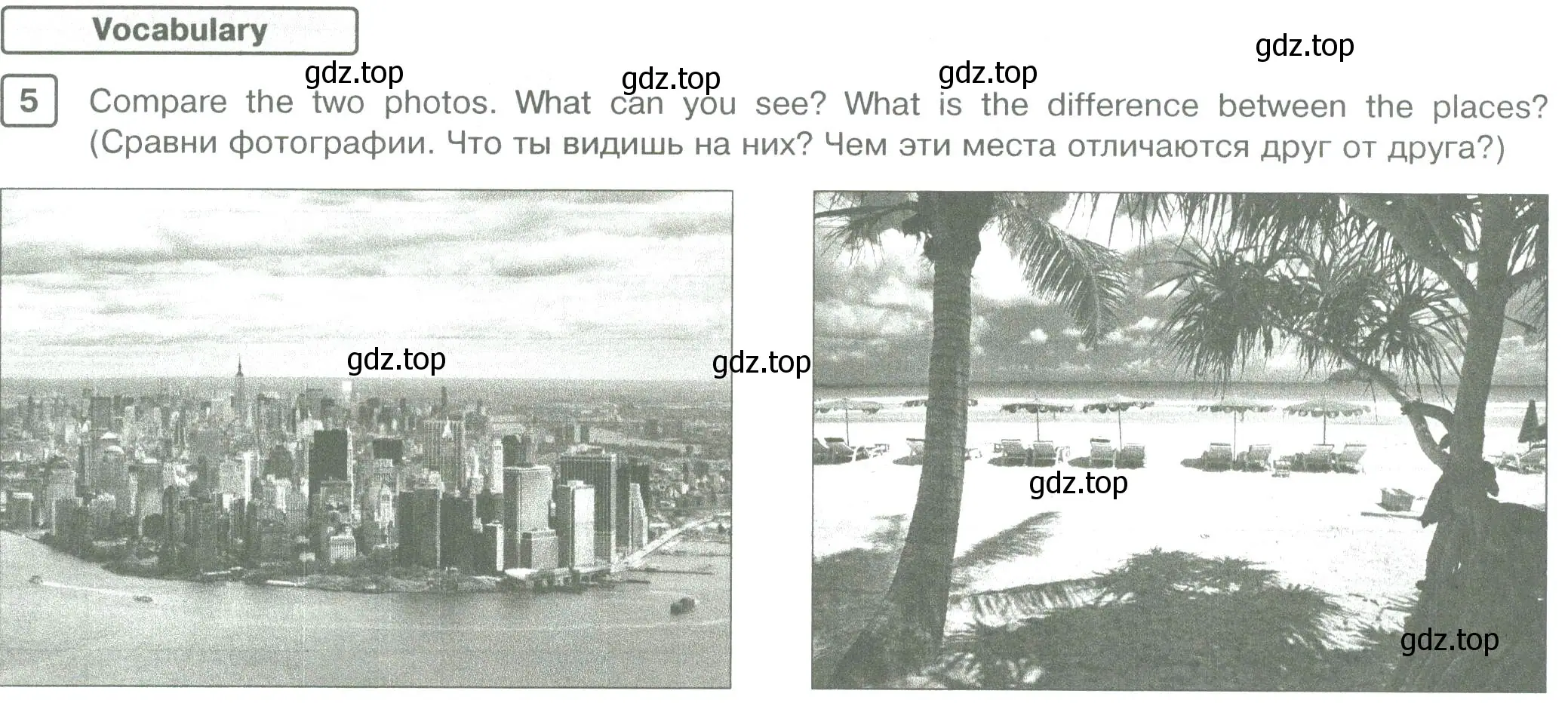 Условие номер 5 (страница 78) гдз по английскому языку 5 класс Вербицкая, Твердохлебова, рабочая тетрадь