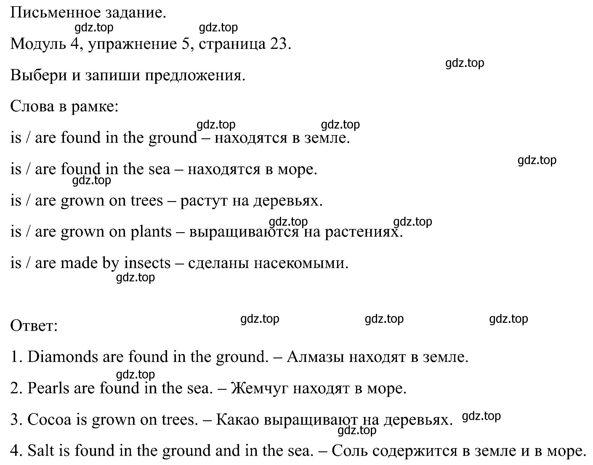 Решение номер 5 (страница 23) гдз по английскому языку 5 класс Вербицкая, Твердохлебова, рабочая тетрадь