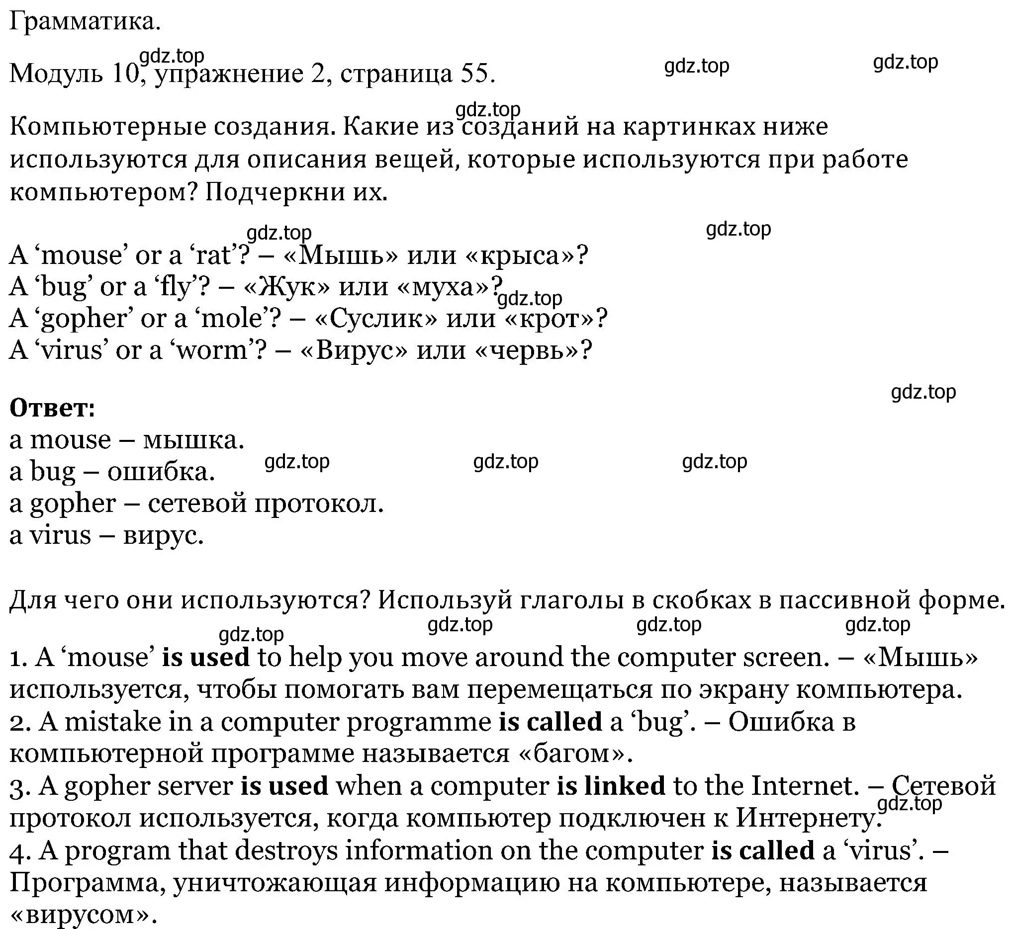 Решение номер 2 (страница 55) гдз по английскому языку 5 класс Вербицкая, Твердохлебова, рабочая тетрадь