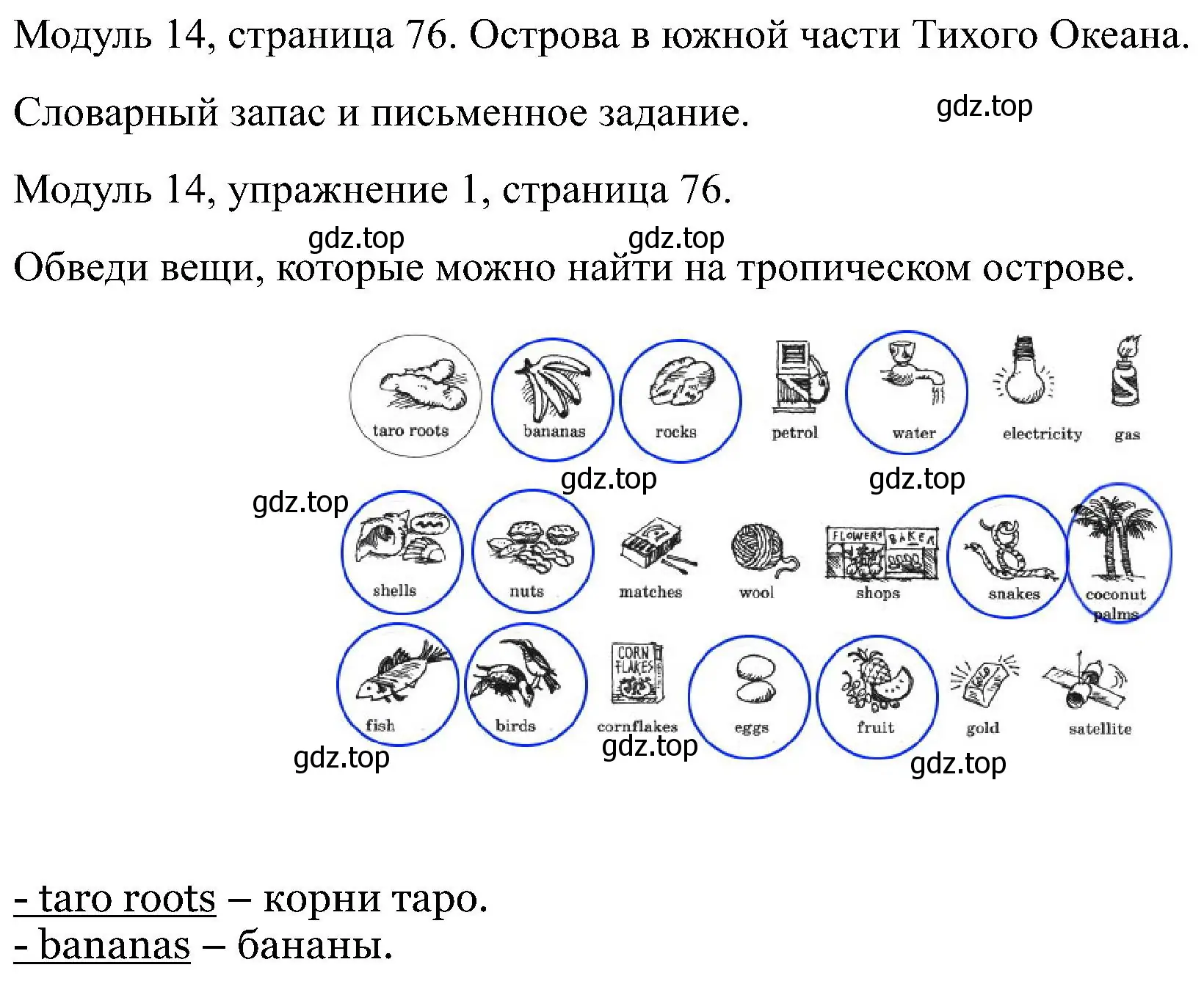 Решение номер 1 (страница 76) гдз по английскому языку 5 класс Вербицкая, Твердохлебова, рабочая тетрадь