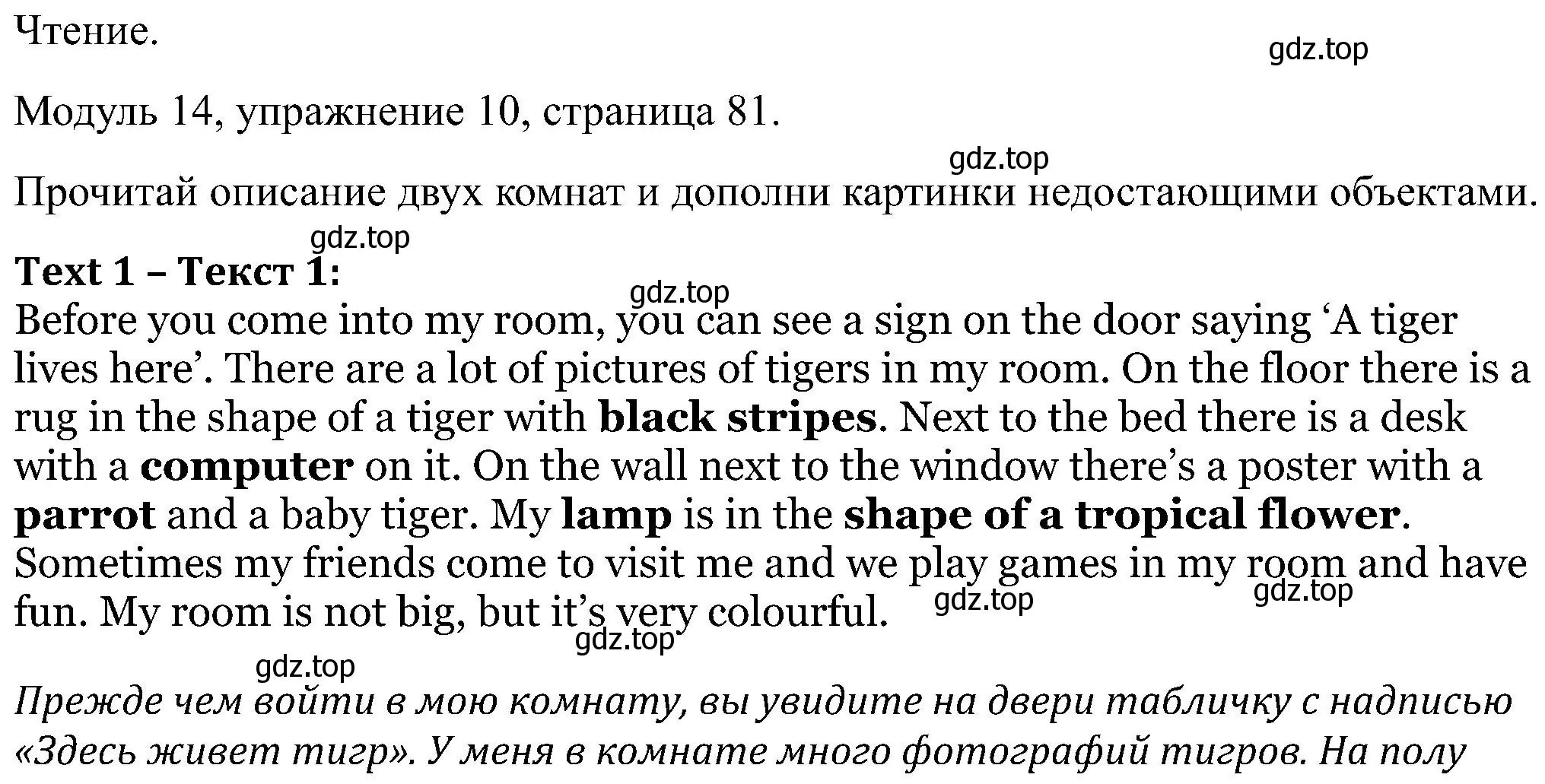 Решение номер 10 (страница 81) гдз по английскому языку 5 класс Вербицкая, Твердохлебова, рабочая тетрадь