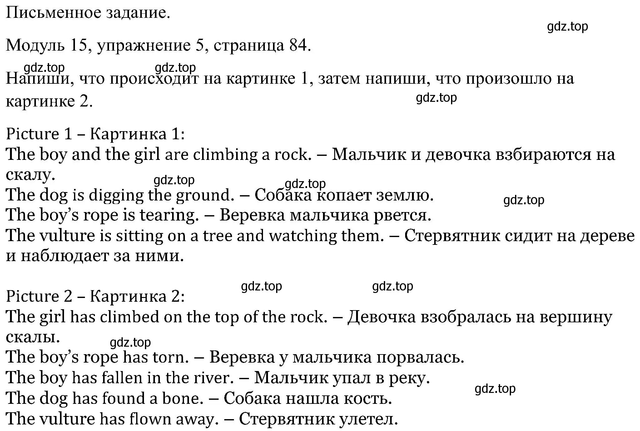 Решение номер 5 (страница 84) гдз по английскому языку 5 класс Вербицкая, Твердохлебова, рабочая тетрадь