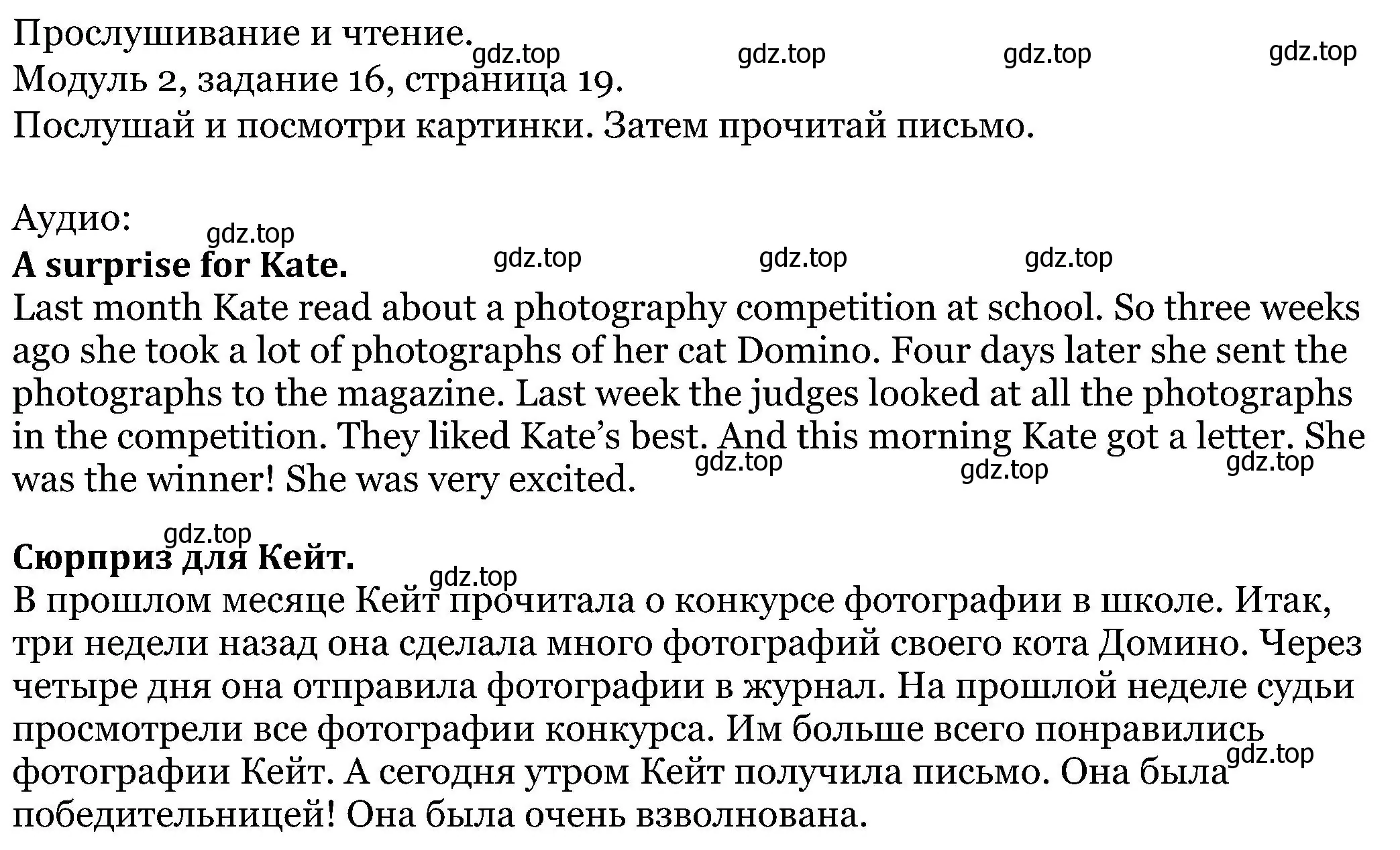 Решение номер 16 (страница 19) гдз по английскому языку 5 класс Вербицкая, Эббс, учебник 1 часть