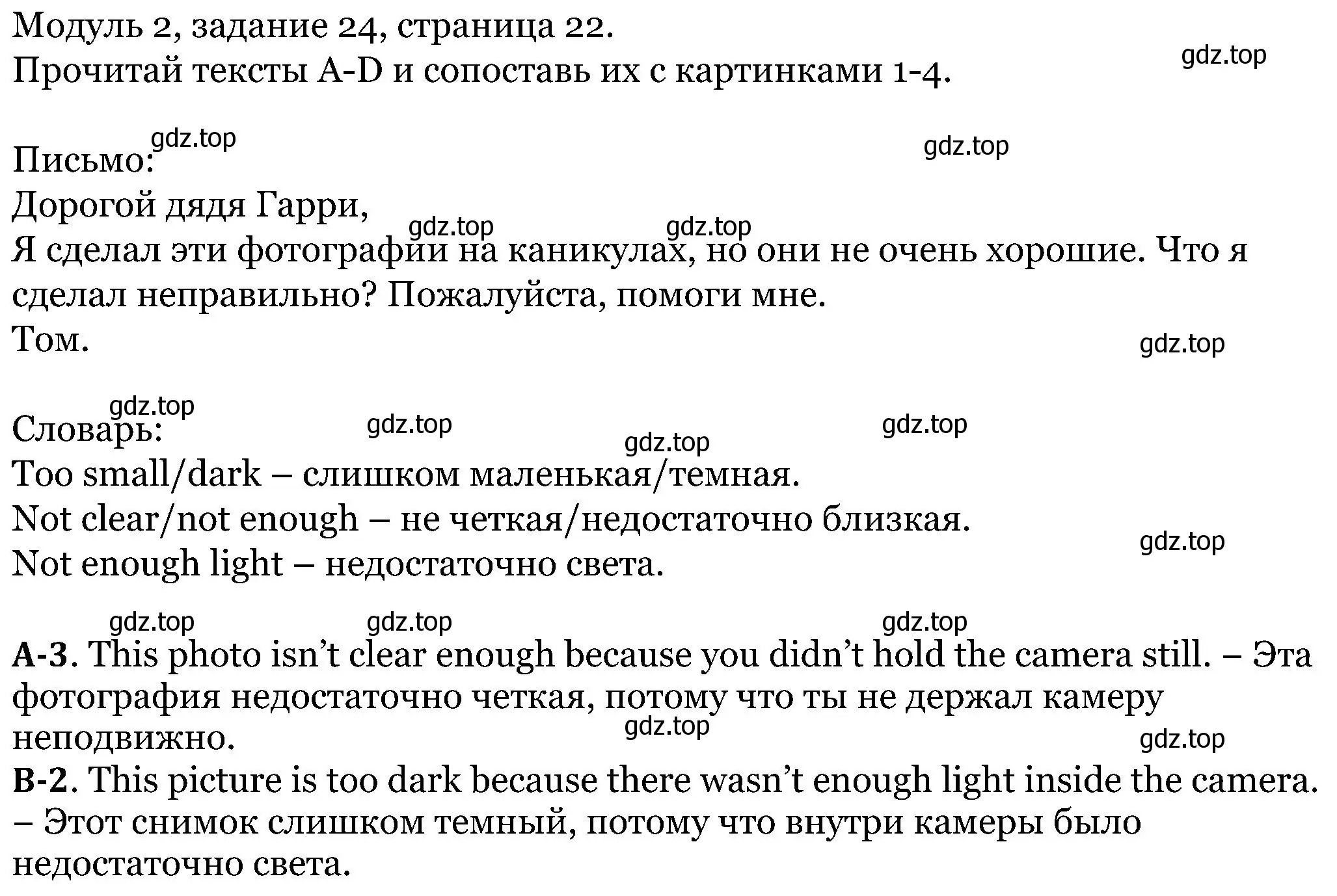 Решение номер 24 (страница 22) гдз по английскому языку 5 класс Вербицкая, Эббс, учебник 1 часть