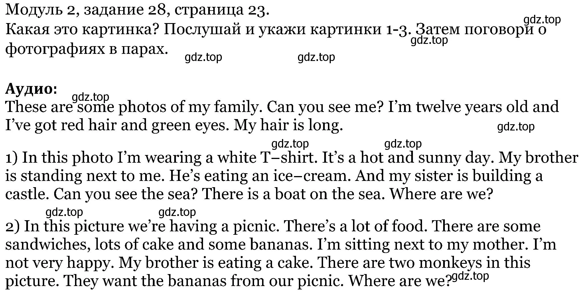 Решение номер 28 (страница 23) гдз по английскому языку 5 класс Вербицкая, Эббс, учебник 1 часть