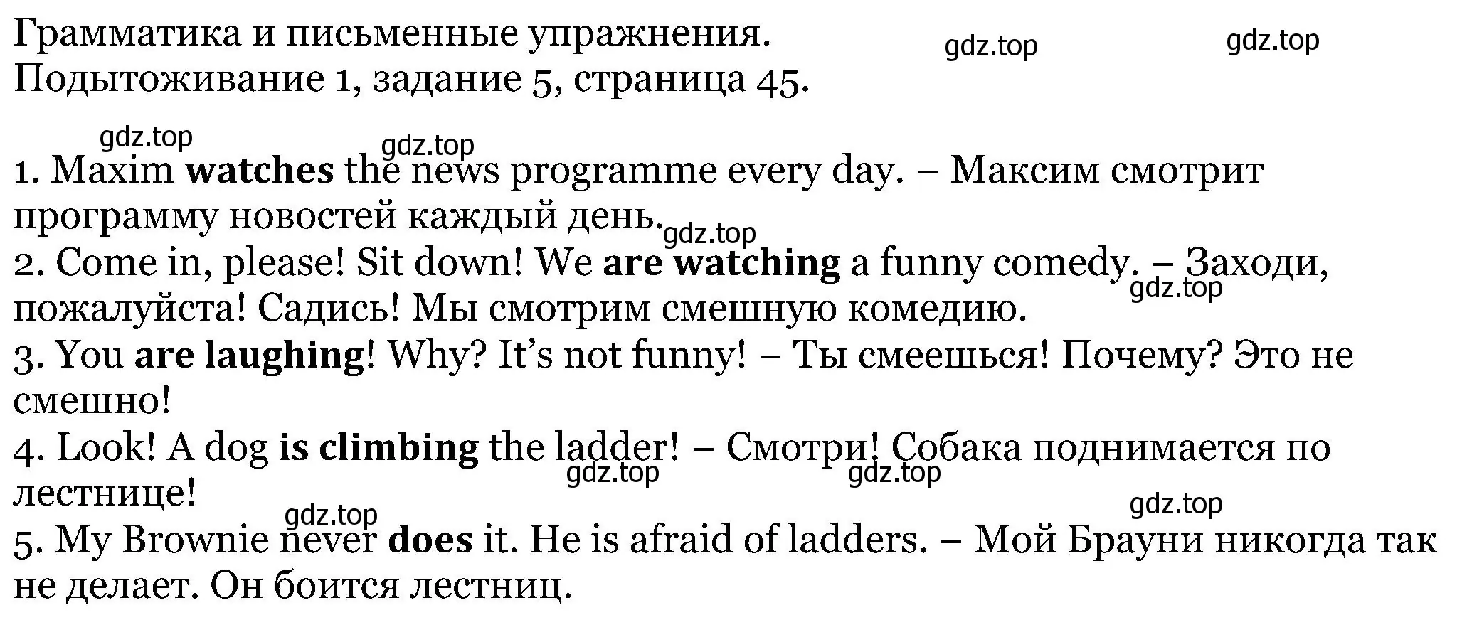 Решение номер 5 (страница 45) гдз по английскому языку 5 класс Вербицкая, Эббс, учебник 1 часть