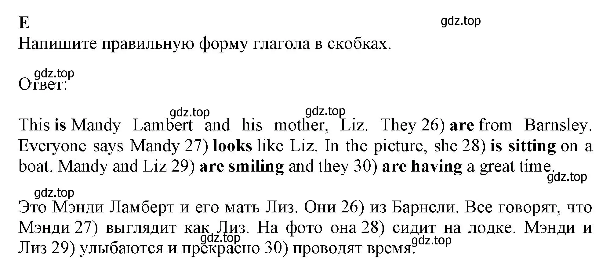 Решение  E (страница 40) гдз по английскому языку 6 класс Ваулина, Дули, контрольные задания