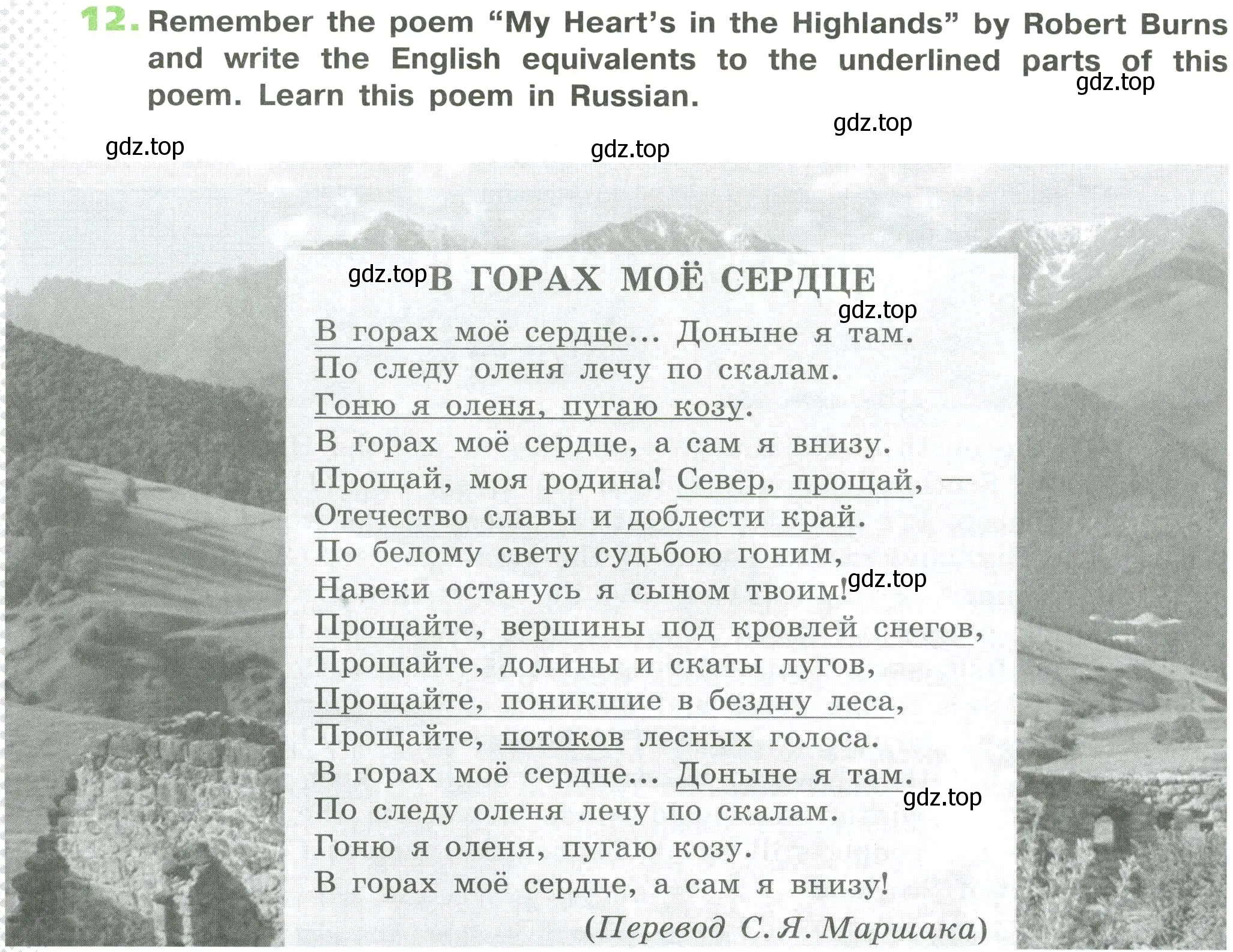 Условие номер 12 (страница 66) гдз по английскому языку 6 класс Афанасьева, Михеева, рабочая тетрадь